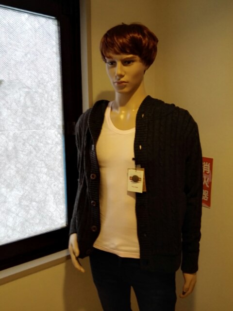 f:id:hitode99:20161113225402j:plain