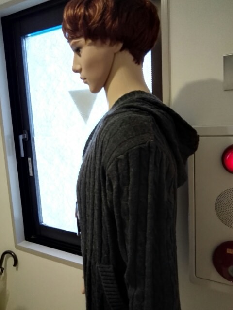 f:id:hitode99:20161114212232j:plain