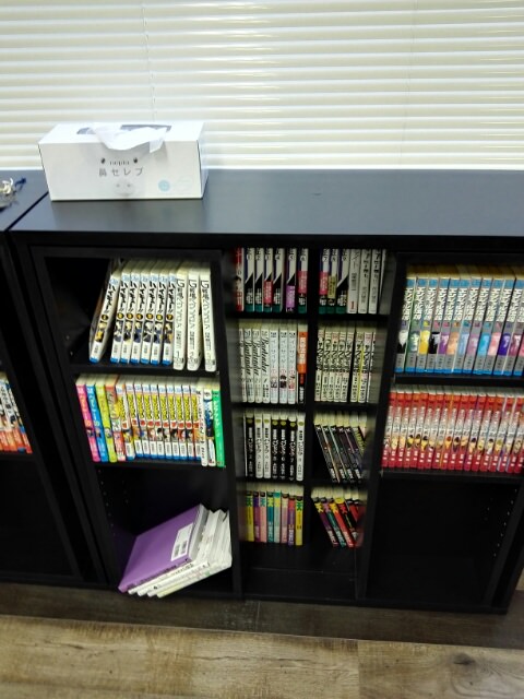 f:id:hitode99:20161114212238j:plain